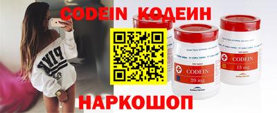 мдпв Кингисепп