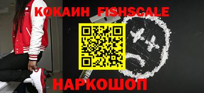 мдпв Кингисепп