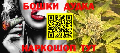 мдпв Кингисепп