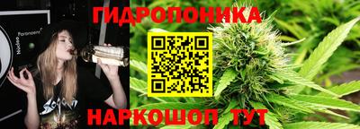 мдпв Кингисепп