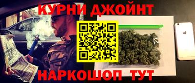 мдпв Кингисепп