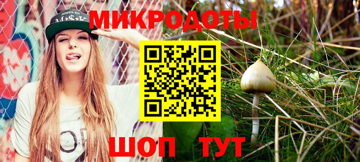 купить  цена  Вход с VPN  Комсомольск-на-Амуре  Галлюциногенные грибы Cubensis 